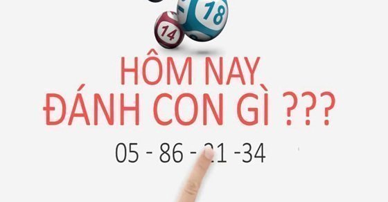 Hôm nay đánh con gì? Chiều hôm nay đánh con đề gì đẹp nhất?